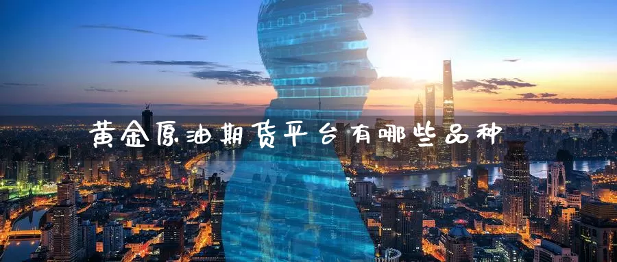 黄金原油期货平台有哪些品种_https://www.51pinbao.com_期货直播室_第1张