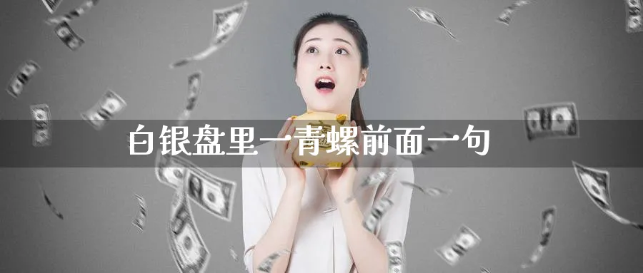 白银盘里一青螺前面一句_https://www.51pinbao.com_期货直播室_第1张