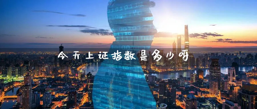 今天上证指数是多少呀_https://www.51pinbao.com_恒指直播室_第1张