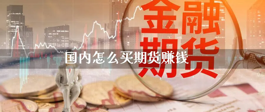 国内怎么买期货赚钱_https://www.51pinbao.com_期货直播室_第1张