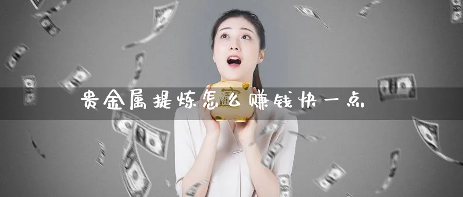 贵金属提炼怎么赚钱快一点_https://www.51pinbao.com_纳指直播室_第1张