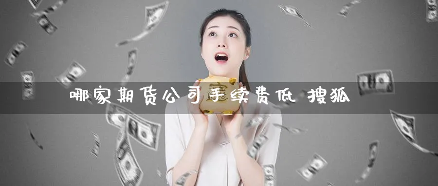 哪家期货公司手续费低 搜狐_https://www.51pinbao.com_恒指直播室_第1张