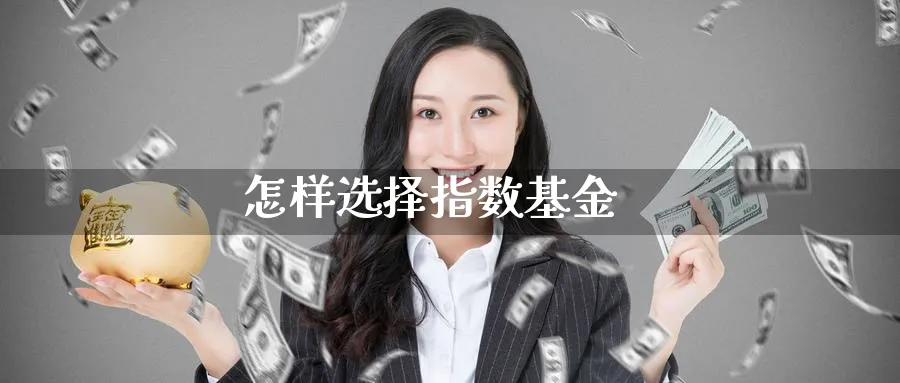 怎样选择指数基金_期货直播室_第1张_51期货直播网 怎样选择指数基金_https://www.51pinbao.com_期货直播室_第1张