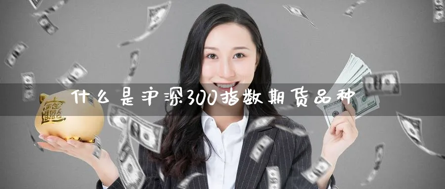 什么是沪深300指数期货品种_https://www.51pinbao.com_纳指直播室_第1张