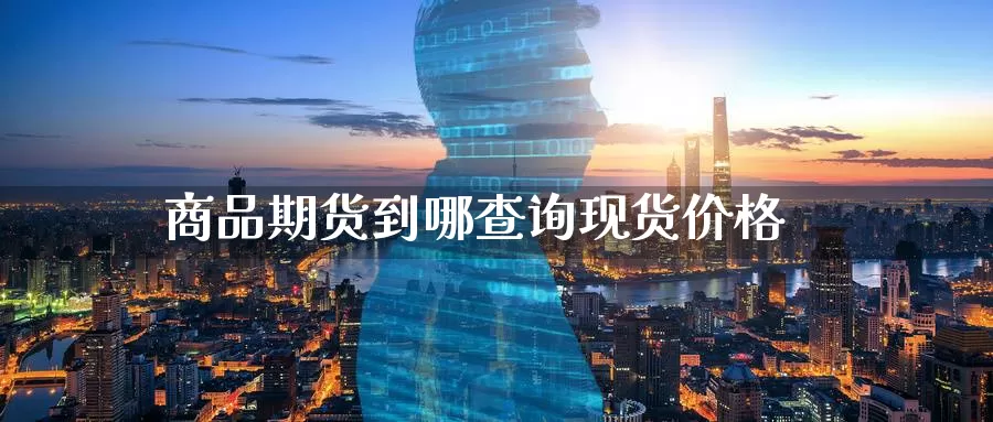商品期货到哪查询现货价格_https://www.51pinbao.com_德指直播室_第1张