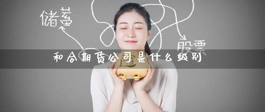 和合期货公司是什么级别_https://www.51pinbao.com_恒指直播室_第1张