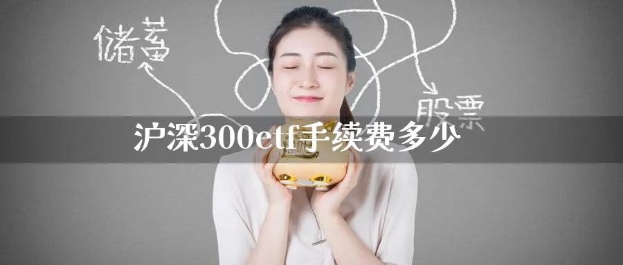沪深300etf手续费多少_https://www.51pinbao.com_恒指直播室_第1张