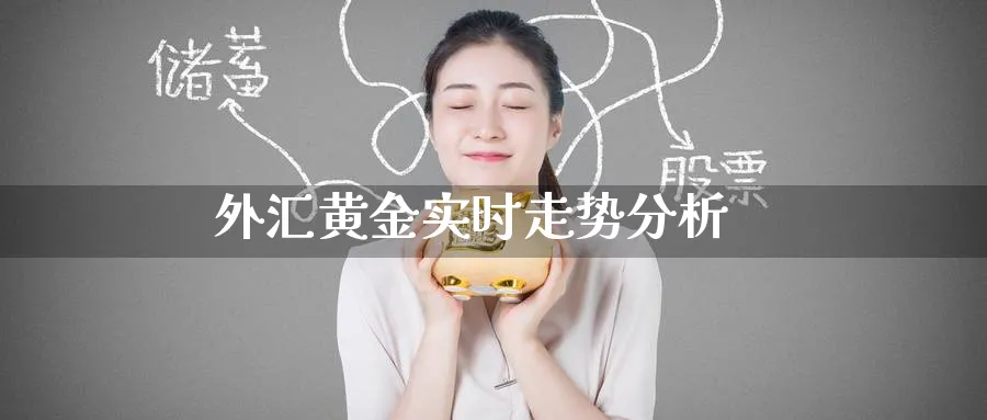 外汇黄金实时走势分析_https://www.51pinbao.com_期货直播室_第1张