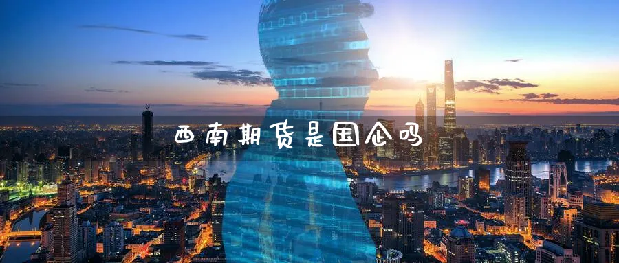 西南期货是国企吗_https://www.51pinbao.com_恒指直播室_第1张