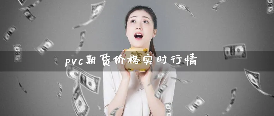 pvc期货价格实时行情_https://www.51pinbao.com_期货直播室_第1张
