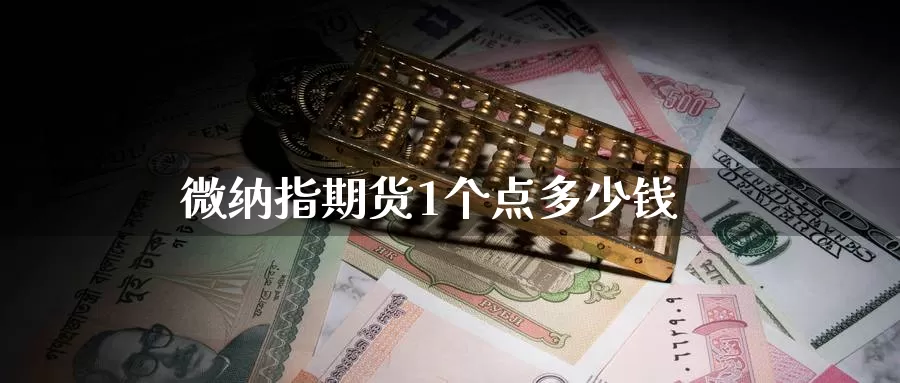 微纳指期货1个点多少钱_https://www.51pinbao.com_期货直播室_第1张