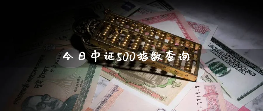 今日中证500指数查询_https://www.51pinbao.com_德指直播室_第1张