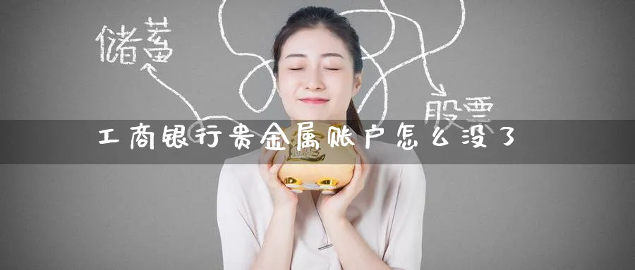 工商银行贵金属账户怎么没了_https://www.51pinbao.com_恒指直播室_第1张