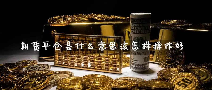 期货平仓是什么意思该怎样操作好_https://www.51pinbao.com_恒指直播室_第1张