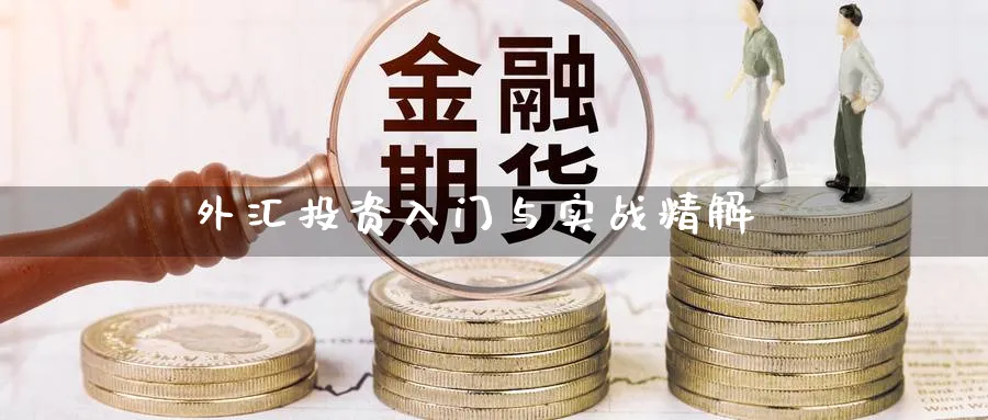 外汇投资入门与实战精解_https://www.51pinbao.com_期货直播室_第1张