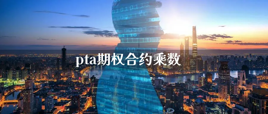pta期权合约乘数_https://www.51pinbao.com_纳指直播室_第1张