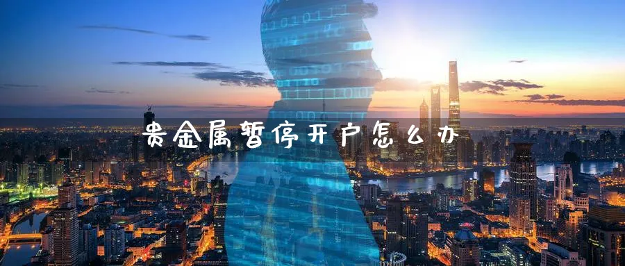 贵金属暂停开户怎么办_https://www.51pinbao.com_纳指直播室_第1张
