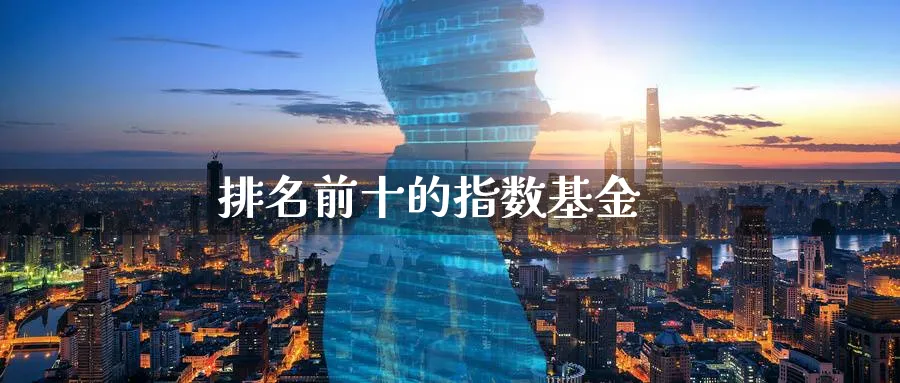 排名前十的指数基金_https://www.51pinbao.com_期货直播室_第1张