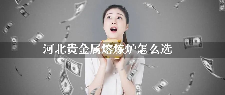 河北贵金属熔炼炉怎么选_https://www.51pinbao.com_恒指直播室_第1张