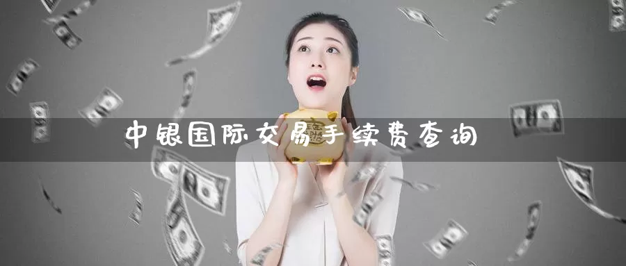 中银国际交易手续费查询_https://www.51pinbao.com_期货直播室_第1张