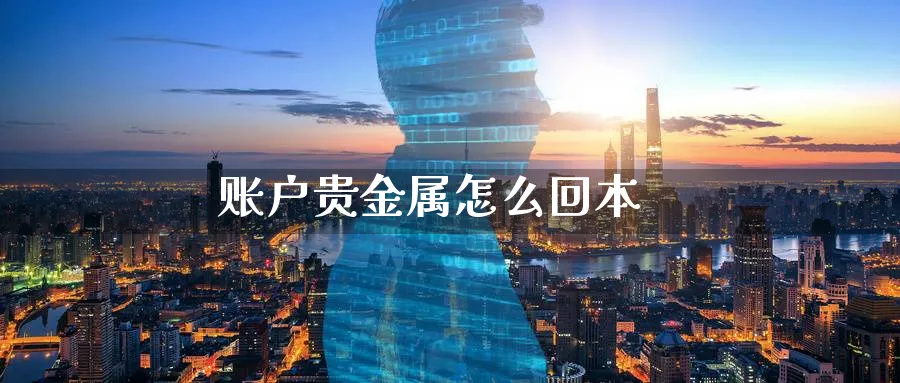 账户贵金属怎么回本_https://www.51pinbao.com_恒指直播室_第1张
