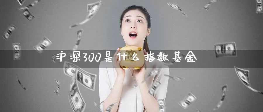 沪深300是什么指数基金_https://www.51pinbao.com_恒指直播室_第1张