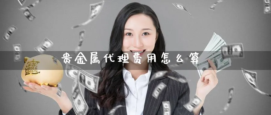 贵金属代理费用怎么算_https://www.51pinbao.com_期货直播室_第1张