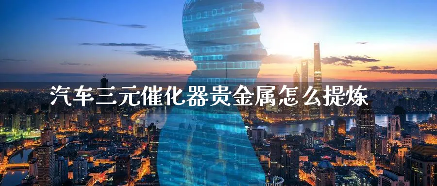 汽车三元催化器贵金属怎么提炼_期货直播室_第1张_51期货直播网 汽车三元催化器贵金属怎么提炼_https://www.51pinbao.com_期货直播室_第1张