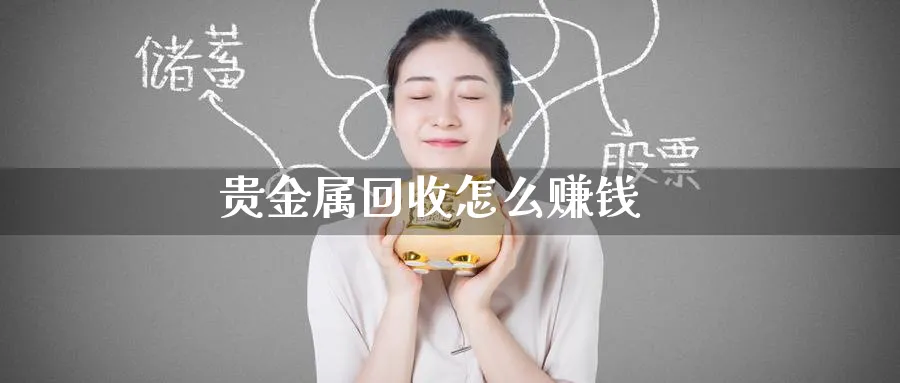 贵金属回收怎么赚钱_https://www.51pinbao.com_恒指直播室_第1张