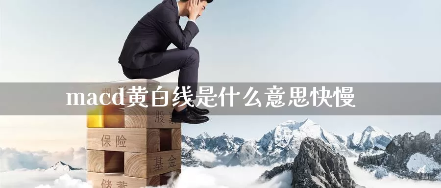 macd黄白线是什么意思快慢_https://www.51pinbao.com_纳指直播室_第1张