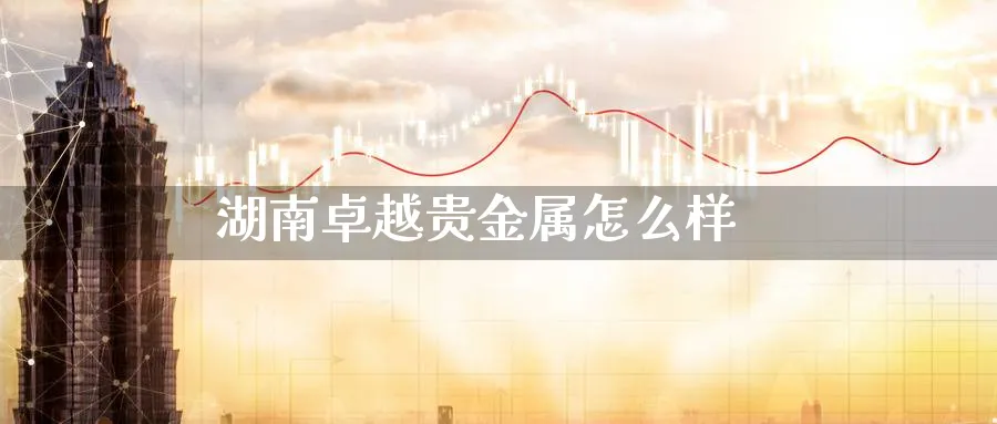 湖南卓越贵金属怎么样_https://www.51pinbao.com_恒指直播室_第1张
