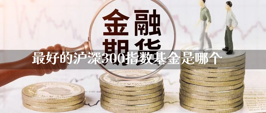 最好的沪深300指数基金是哪个_https://www.51pinbao.com_恒指直播室_第1张