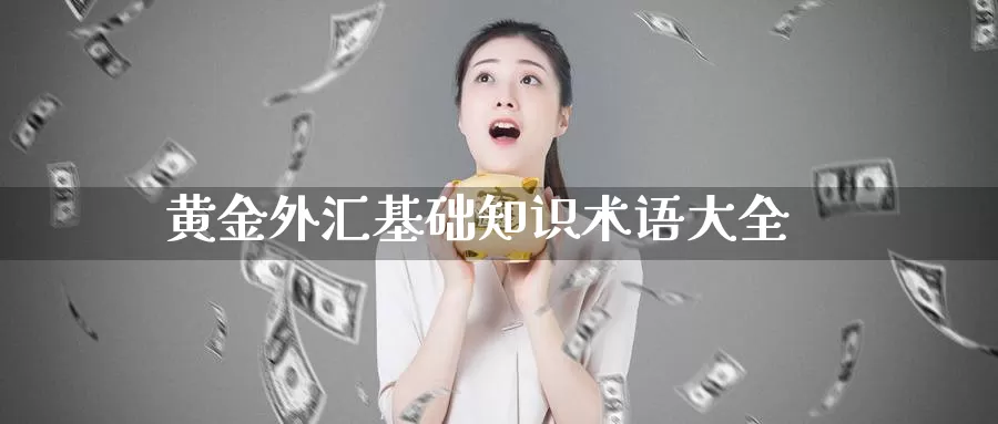 黄金外汇基础知识术语大全_恒指直播室_第1张_51期货直播网 黄金外汇基础知识术语大全_https://www.51pinbao.com_恒指直播室_第1张