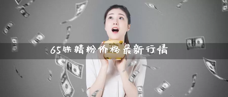 65铁精粉价格最新行情_https://www.51pinbao.com_德指直播室_第1张