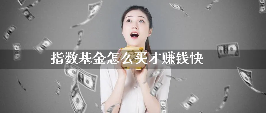 指数基金怎么买才赚钱快_https://www.51pinbao.com_纳指直播室_第1张