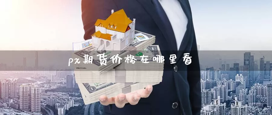 px期货价格在哪里看_纳指直播室_第1张_51期货直播网 px期货价格在哪里看_https://www.51pinbao.com_纳指直播室_第1张