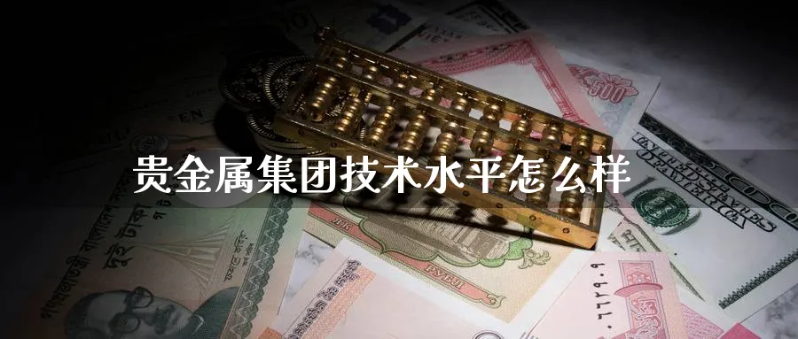 贵金属集团技术水平怎么样_https://www.51pinbao.com_期货直播室_第1张