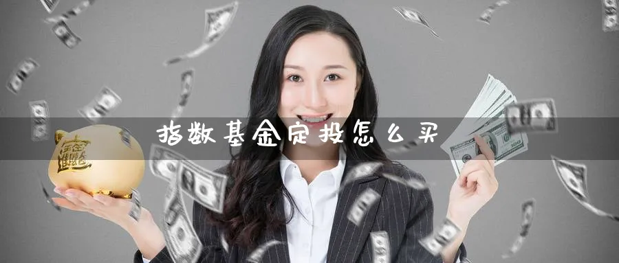 指数基金定投怎么买_https://www.51pinbao.com_原油直播室_第1张