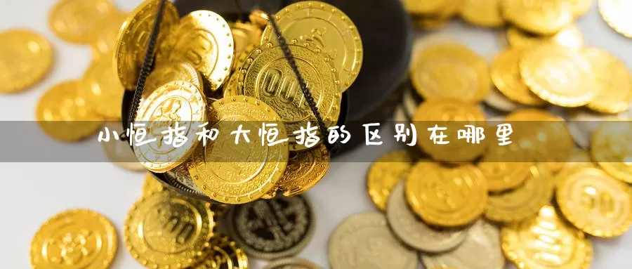 小恒指和大恒指的区别在哪里_https://www.51pinbao.com_纳指直播室_第1张