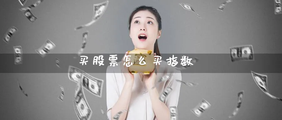 买股票怎么买指数_https://www.51pinbao.com_纳指直播室_第1张