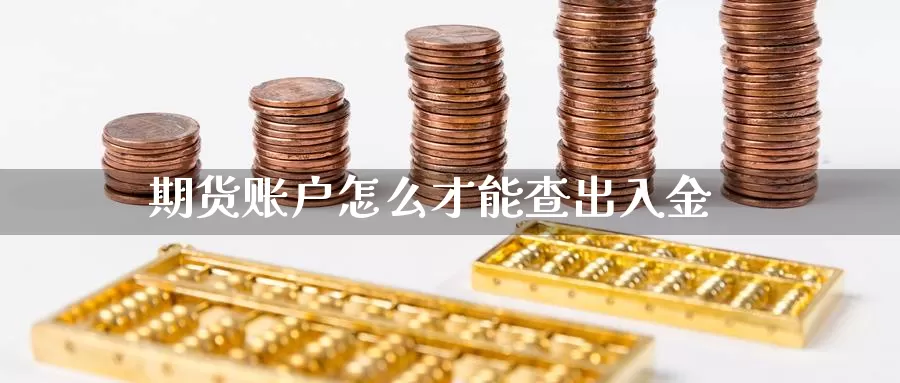 期货账户怎么才能查出入金_https://www.51pinbao.com_期货直播室_第1张