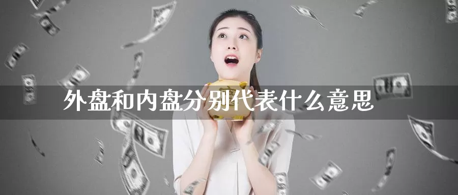 外盘和内盘分别代表什么意思_https://www.51pinbao.com_恒指直播室_第1张