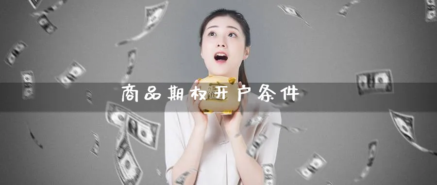 商品期权开户条件_https://www.51pinbao.com_期货直播室_第1张