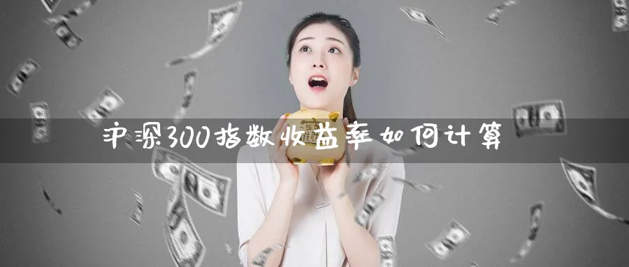 沪深300指数收益率如何计算_https://www.51pinbao.com_原油直播室_第1张