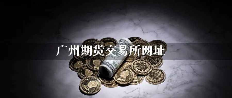 广州期货交易所网址_https://www.51pinbao.com_期货直播室_第1张