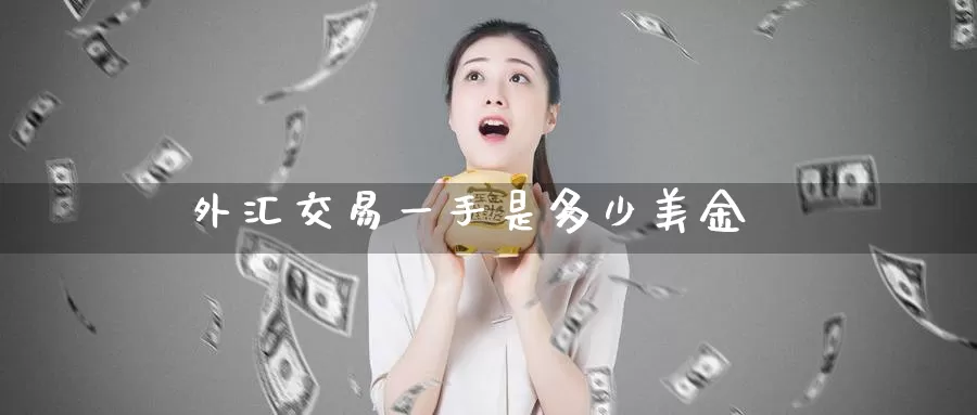 外汇交易一手是多少美金_纳指直播室_第1张_51期货直播网 外汇交易一手是多少美金_https://www.51pinbao.com_纳指直播室_第1张