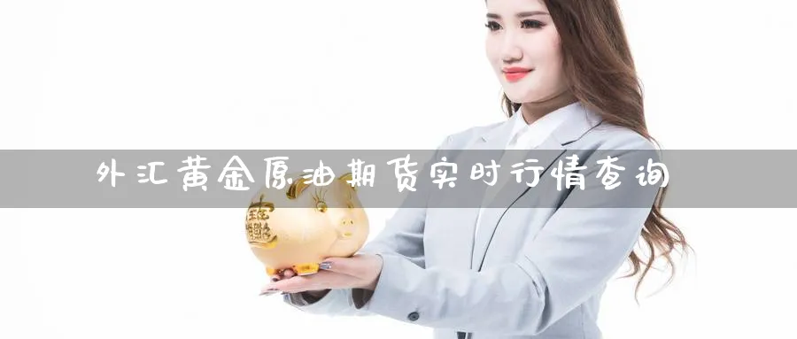 外汇黄金原油期货实时行情查询_https://www.51pinbao.com_黄金直播室_第1张