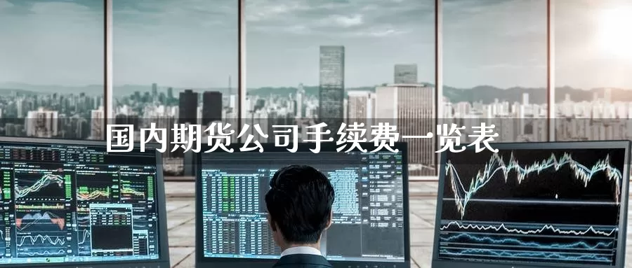 国内期货公司手续费一览表_https://www.51pinbao.com_德指直播室_第1张