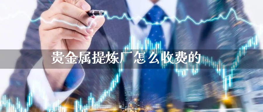 贵金属提炼厂怎么收费的_https://www.51pinbao.com_纳指直播室_第1张
