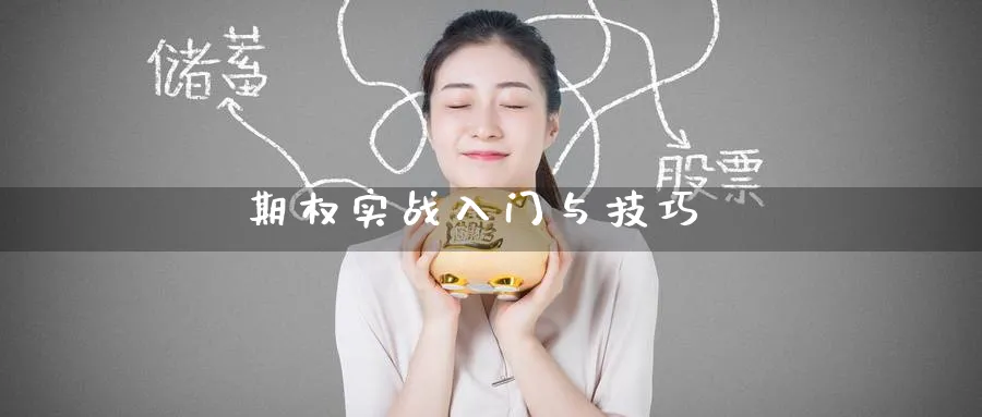 期权实战入门与技巧_https://www.51pinbao.com_纳指直播室_第1张